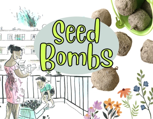 Seed Bombs written out cartoony with cartoon flowers and images of actual seed bombs to decorate for the news item.