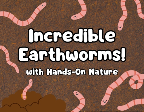 Cartoon earth worms