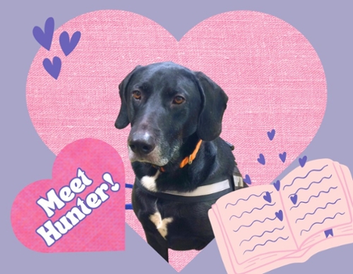 Image of Hunter the dog with a heart in the background.