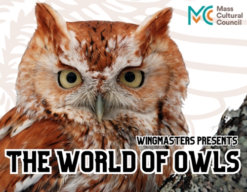 An owl with the MCC Logo