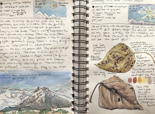 example of a nature journal