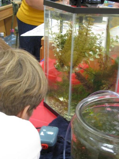 Live Seahorse program - Children enjoyed a close up look at seahorses, pipefish and clownfish!