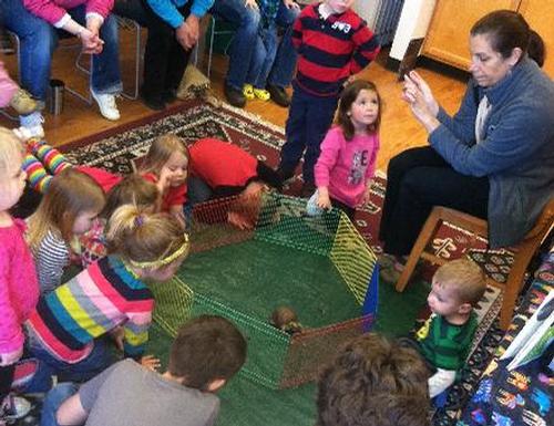 Douglas the turtle and two Dutch rabbits visited the library with Teaching Creatures April 2016.