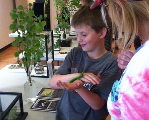 Build a Better World: The Caterpillar Lab taught children about native caterpillar species.