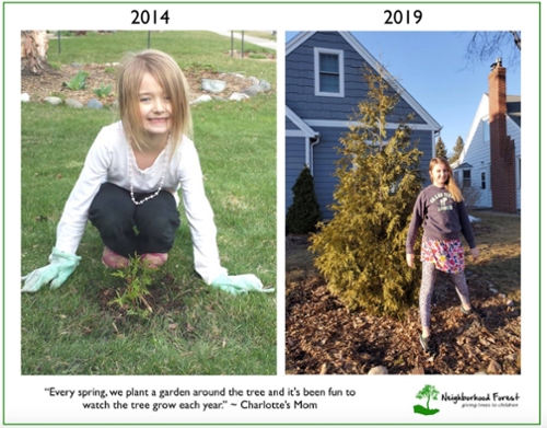 A photo of a child with her tree sapling and then the tree side by side.