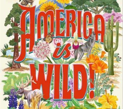 America is Wild book cover with cartoon nature plants, bugs and animals.